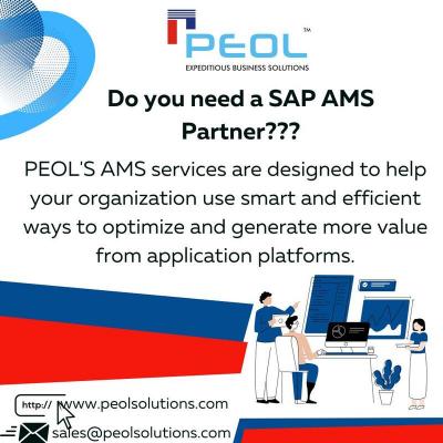 SAP AMS Partner in Bangalore-SAP Services in Bangalore - Bangalore Other