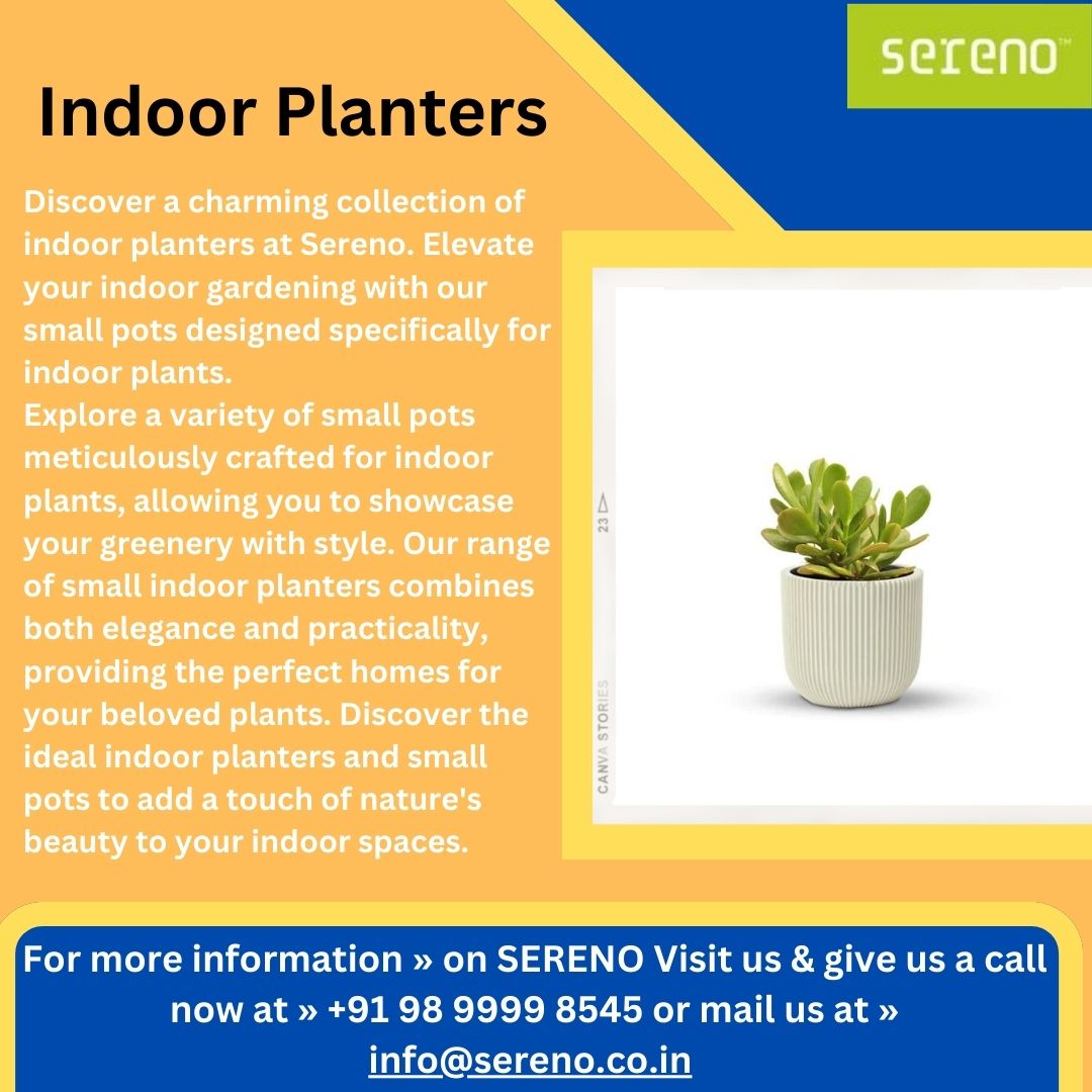 Buy Indoor Planters  Online | Small Indoor Planters - Sereno - Delhi Home & Garden
