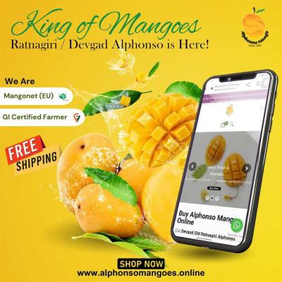 Buy Hapus Mangoes Online | Authentic Ratnagiri and Devgad Alphonso Mango Pulp - Mumbai Other