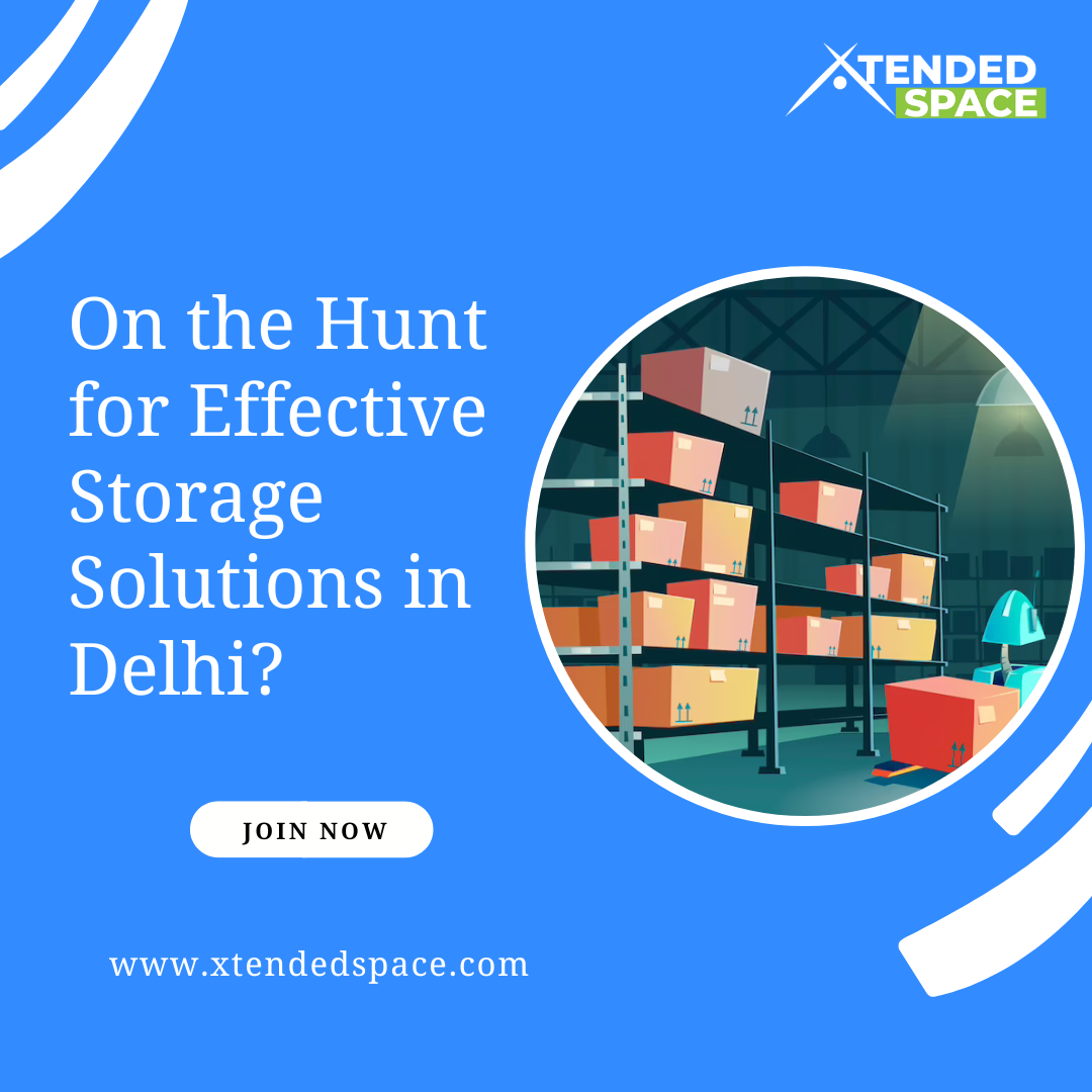 Searching for efficient storage solutions in Delhi?