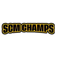 Elevate Your Business with Expert  SAP Development Services - SCM Champs Inc. - Other Professional Services