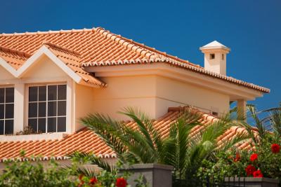 Revitalize Your Roof with Expert Roof Tile Replacement! - Other Maintenance, Repair
