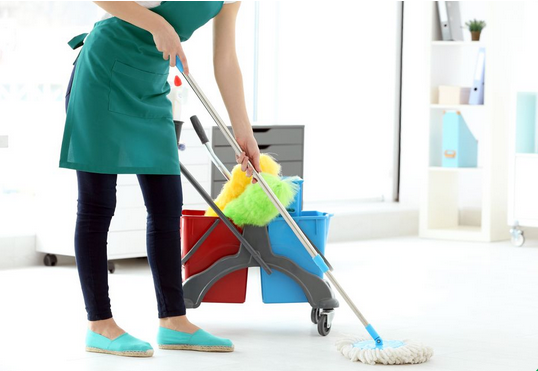 Maid Service College Station TX - Other Professional Services