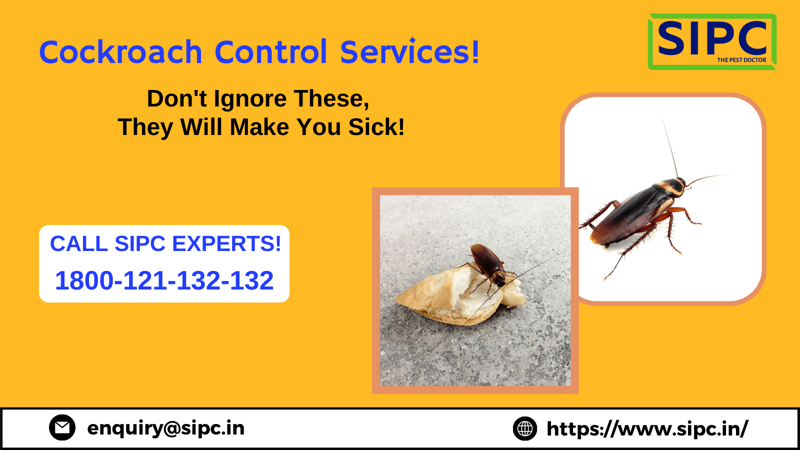 Cockroach Pest Control in Bangalore - Bangalore Professional Services