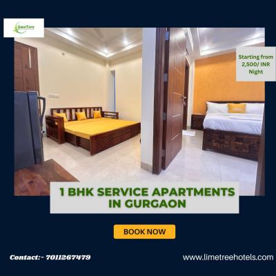 1 BHK Service Apartments in Gurgaon - Gurgaon Other