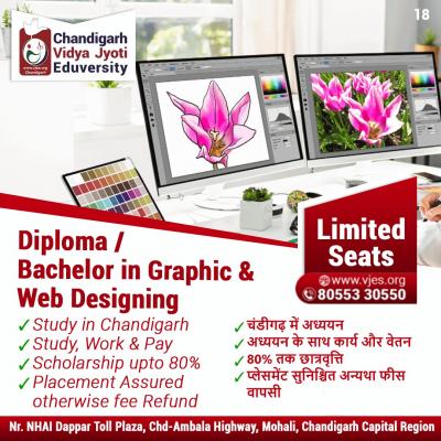 Enroll in Animation and Multimedia Course- Vidya Jyoti Eduversity  - Delhi Other
