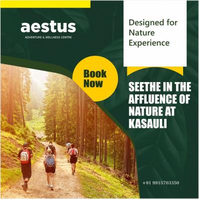 Discover Nature's Bliss: Trekking & Camping in Kasauli with Aestus! 