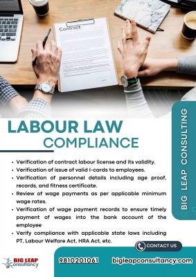 Service provider of contract labour law compliance - Delhi Other