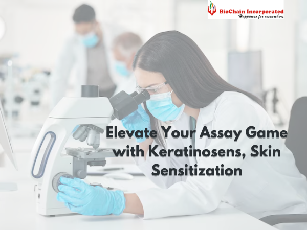 Elevate Your Assay Game with Keratinosens, Skin Sensitization - Delhi Other