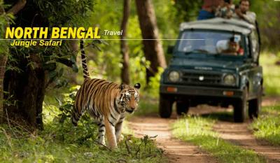 Book Wonderful North Bengal Tour Package from NJP with NatureWings - Kolkata Other