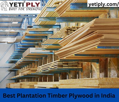 Best Plantation Timber Plywood in India  |Yeti Ply - Mumbai Other