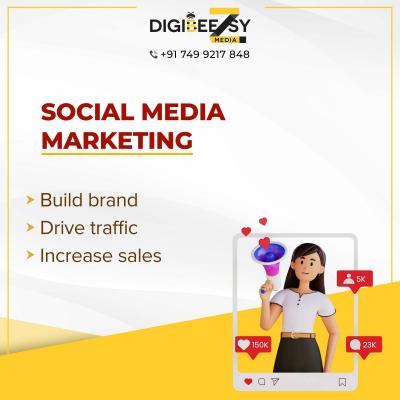 Digital marketing companies in india - Pune Professional Services