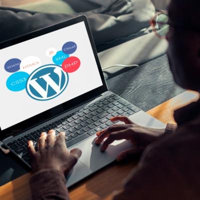 Empowering Your Business with Professional WordPress Development