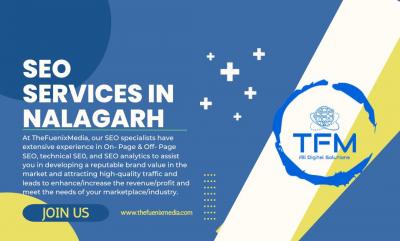 SEO services in Nalagarh | TheFuenix Media