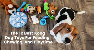 The 12 Best Kong Dog Toys For Feeding, Chewing, And Playtime - New York Animal, Pet Services