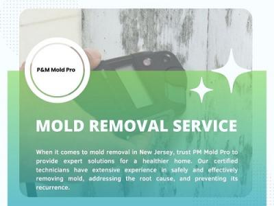 Expert Mold Removal Service in New Jersey: Safe and Effective