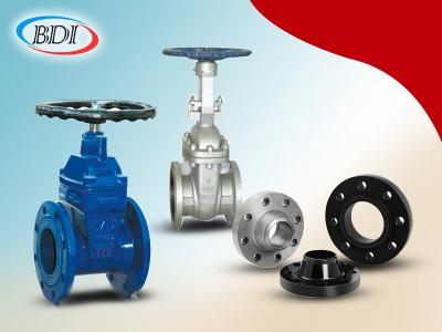Your Ultimate Flanges Supplier in UAE - BDIUAE - Abu Dhabi Professional Services