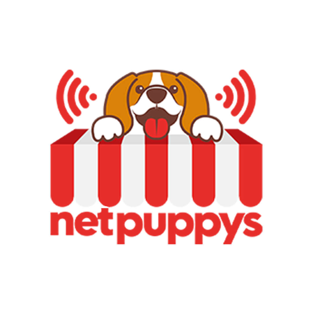 Netpuppys: Making Digital Feel Human Again! - Gurgaon Other
