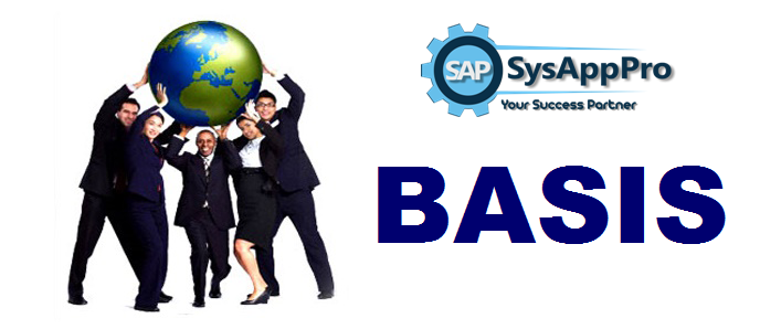 SAP Basis Course in Noida