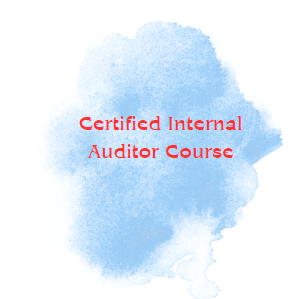 Enhance Your Audit Skills with Certified Internal Auditor Course - Delhi Professional Services