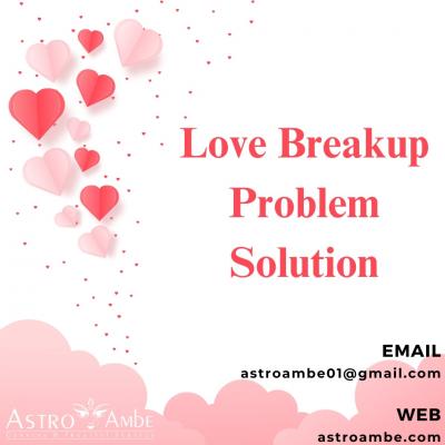 Love Breakup Problem Solution - Delhi Other