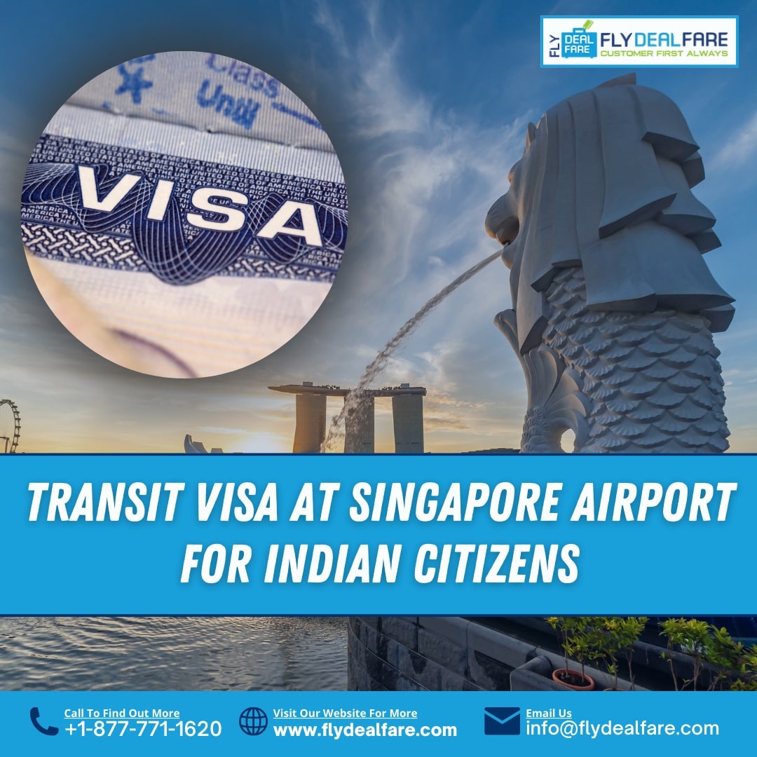 Your Ultimate Guide to Singapore Transit Visa for Indians - Other Other