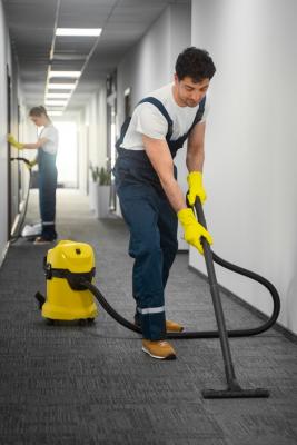 Avail Professional Carpet Cleaning to Eliminate Stains and Odors - London Other