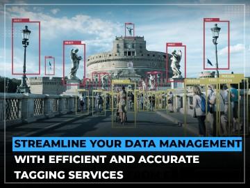 Streamline Data Management with EnFuse's Effective and Accurate Tagging Services