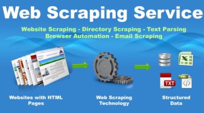 Best Web scraping services Provider - Houston Other