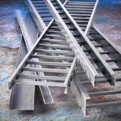 Ladder-type cable tray supplier in Delhi - call now at 9311587277 - Delhi Tools, Equipment
