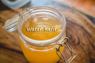 Manufacturer, Retailer and Supplier of Water Kefir Grains in India - Delhi Health, Personal Trainer