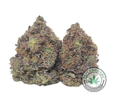 Buy Weed Online in BC Canada - Vancouver Other