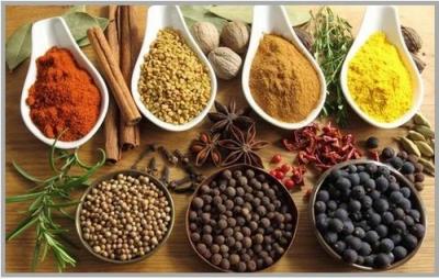 Natural Indian Spices at Wholesale Prices - Adinath Trading Company - Jaipur Other