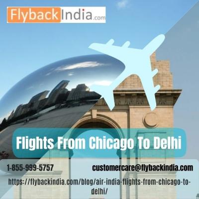 Air India Flights from Chicago to Delhi - Other Other