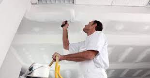exterior house painting services near me - Melbourne Other