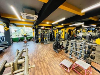 Complete Gym Setup in India - Other Other