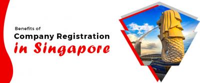 Benefits of Company Registration in Singapore - Delhi Professional Services