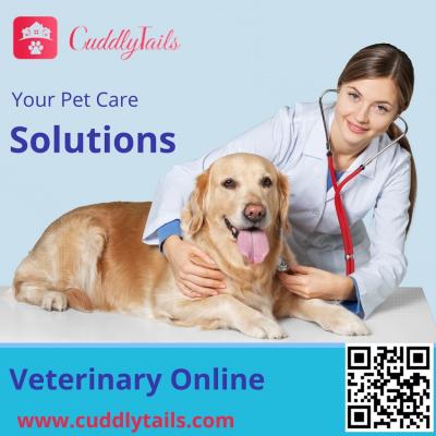 Connect with Expert Veterinarians Online for Your Pet's Well-being - New York Other