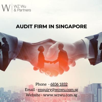 Audit Services: Your Financial Guardians at WZWU - Singapore Region Health, Personal Trainer