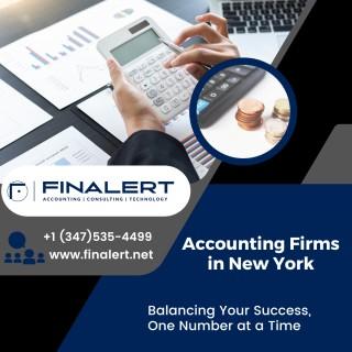 Finalert LLC | Accounting Firms in New York - New York Other