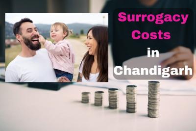 Surrogacy Costs in Chandigarh - Delhi Health, Personal Trainer