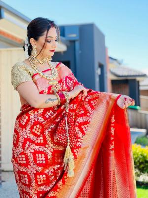 Your Trusted Indian Saree Boutique - Melbourne Professional Services