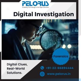 Pelorus Digital Investigation | Forensic Consultant  - Mumbai Other