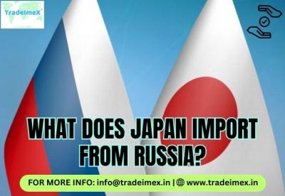 Japan Import Export Data: Global Trade Data Explained