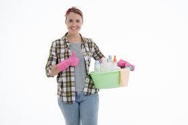 Efficient & Reliable Domestic Cleaning Services