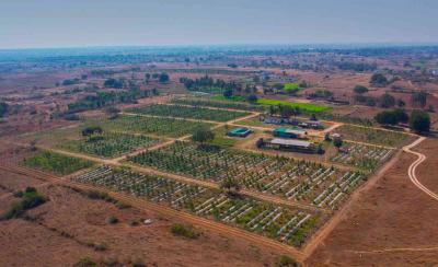 Managed farmland near Bangalore - Bangalore For Sale