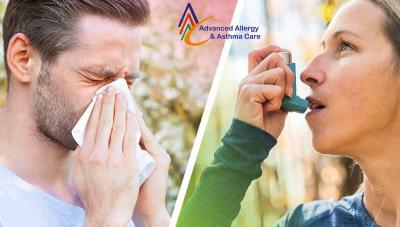Trustworthy Family Allergy And Asthma Care in United States - Other Health, Personal Trainer