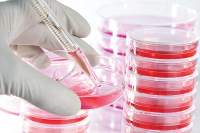Cell Culture Media Manufacturers - Delhi Other