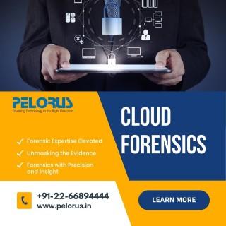 Pelorus Cloud Forensics | Certified Forensics Expert - Mumbai Other