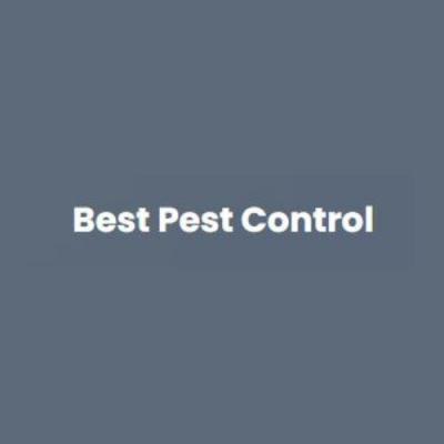 Effective Spider Control Services in Corpus Christi - PestControlCorpusChristiTX